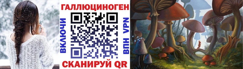 как найти закладки  shop формула  Псилоцибиновые грибы мицелий  Ковров 